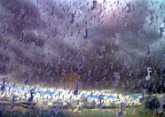 The Sound the Rain Makes.jpg